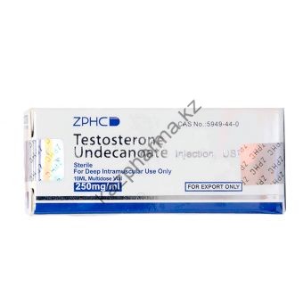 Тестостерон ундеканоат ZPHC флакон 10 мл (1 мл 250 мг) Петропавловск